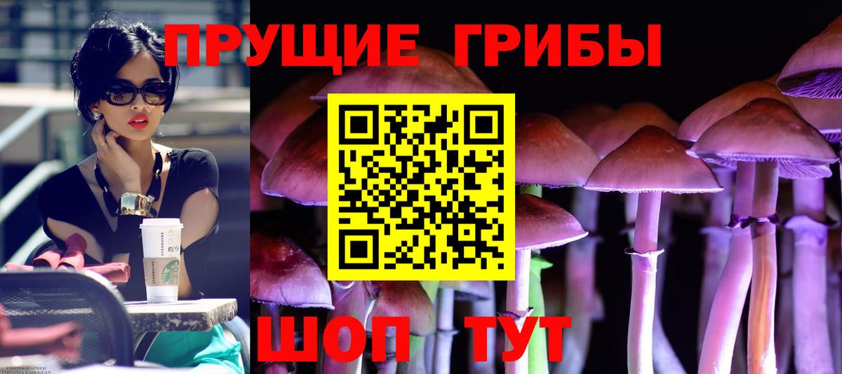 Псилоцибиновые грибы мухоморы  Вход с VPN  Новороссийск 
